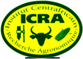 Un Responsable de l'ICRA